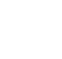 Client-Centric
Customization